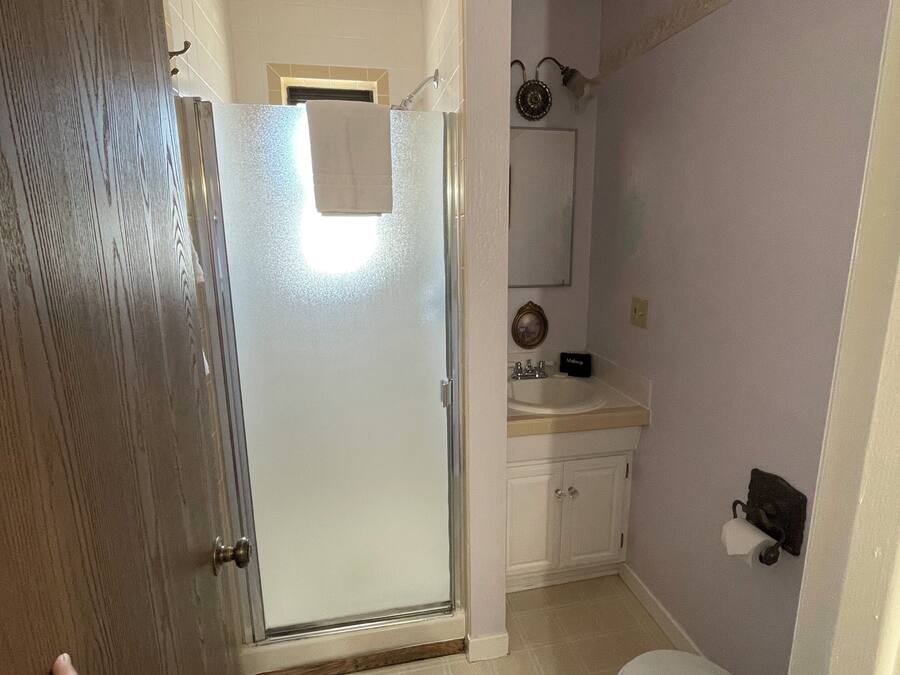 A bathroom with a glass shower door, a toilet, a sink, and a mirror.