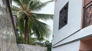 Ein schmaler Innenhof mit Fliesenboden, einer Palme und einem weißen Gebäude mit schwarzen schmiedeeisernen Toren.