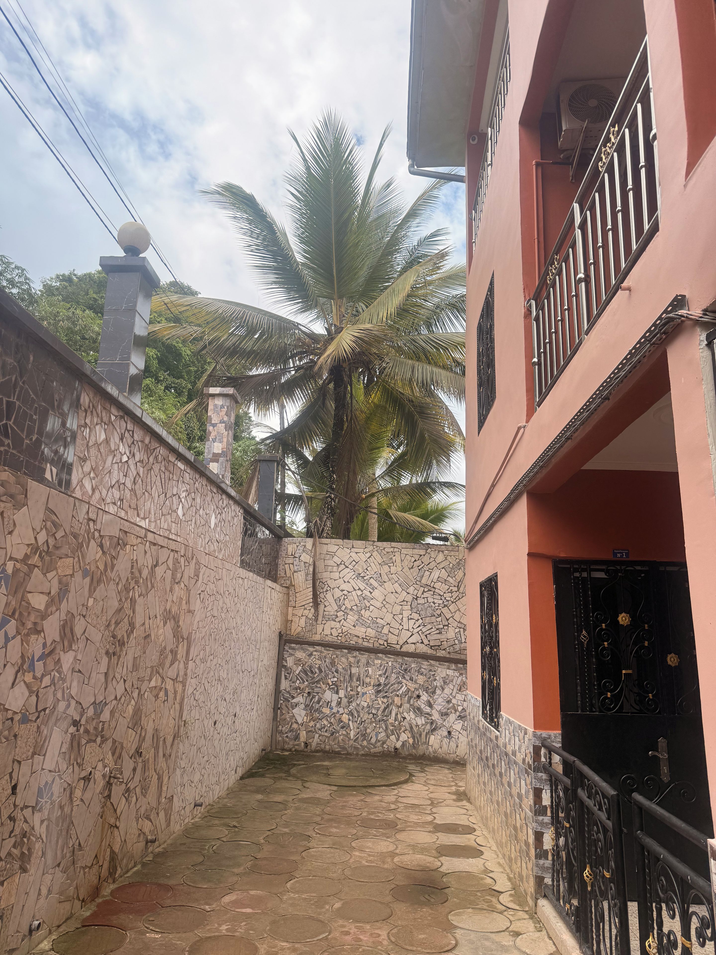 Un sendero estrecho que conduce a un edificio con piso de baldosas y una palmera al fondo.