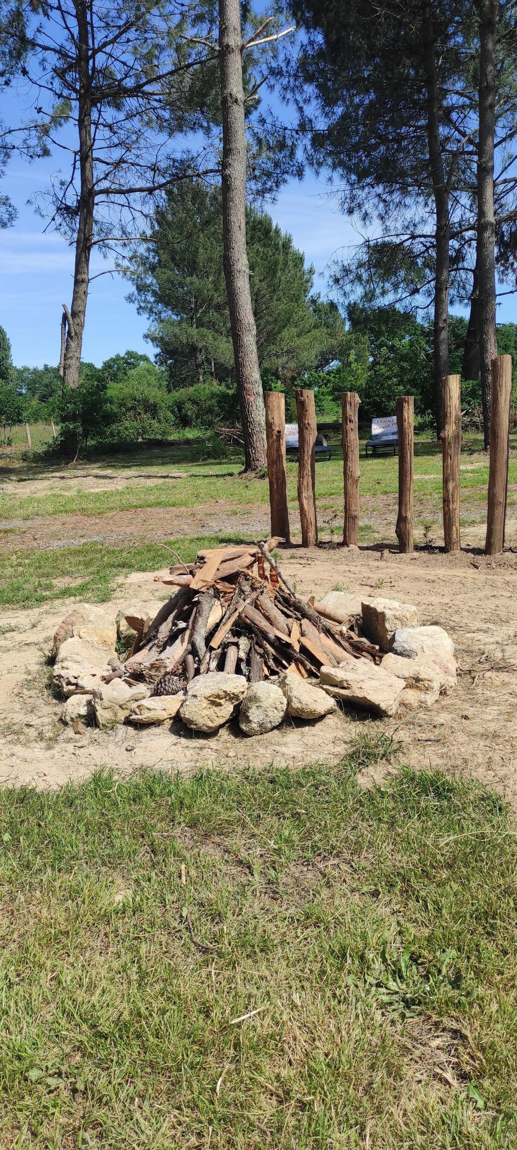 Un feu de camp entouré de rochers et de troncs d’arbres, avec des arbres et une zone herbeuse en arrière-plan.
