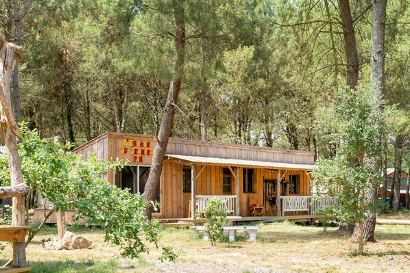 Unclassified image, 1 of 24, button