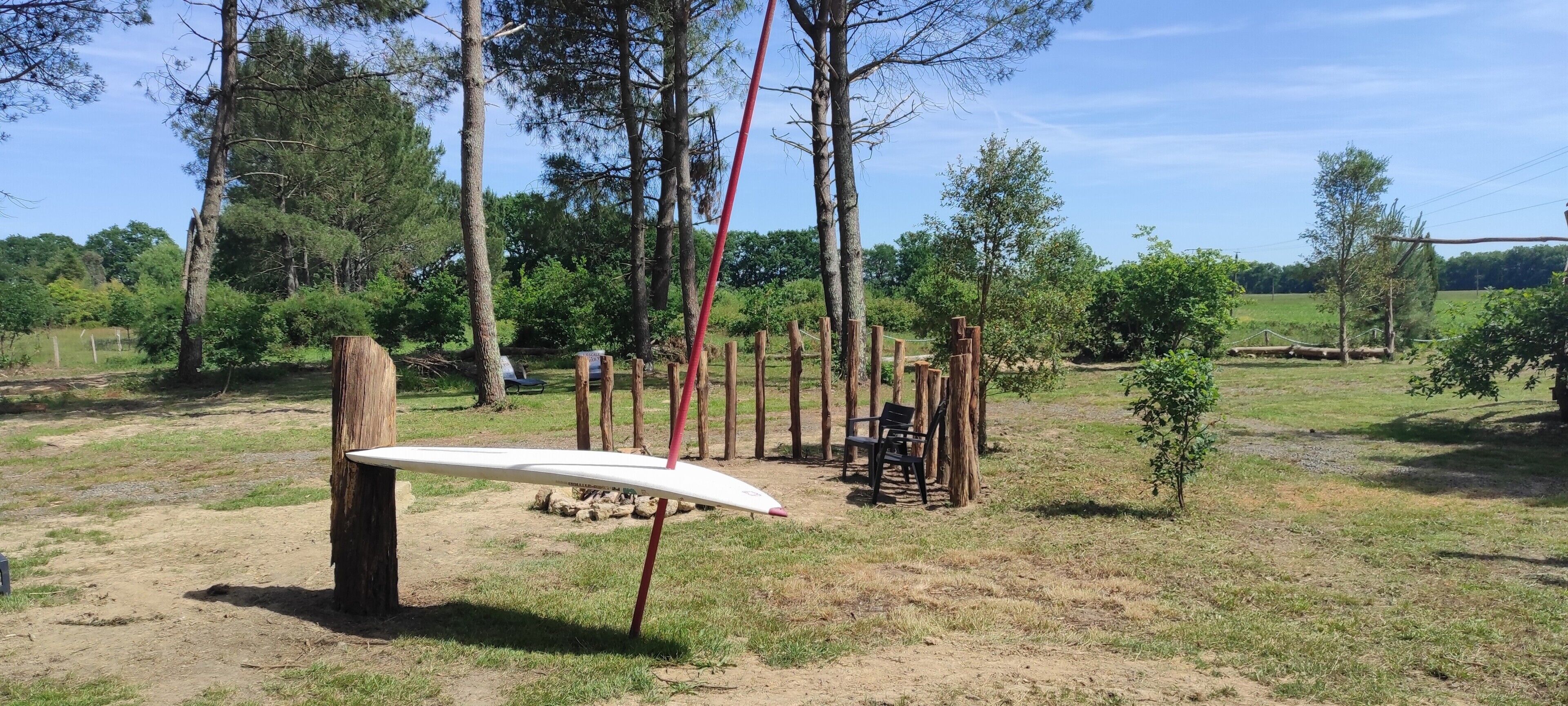 Entorno rústico al aire libre con una tabla de surf apoyada en un árbol, rodeado de vegetación natural y un cielo despejado.