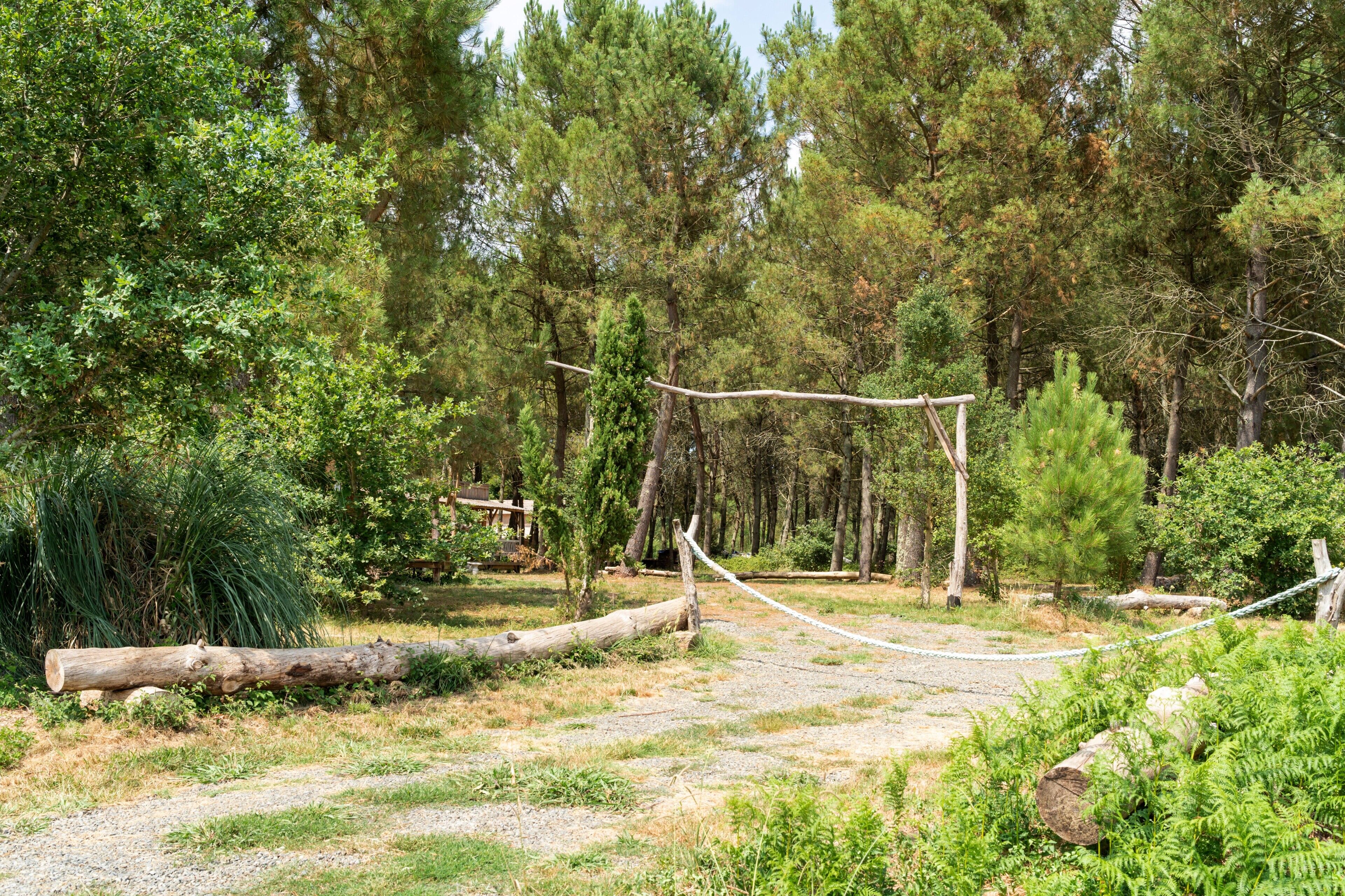 A natural outdoor area with a rope bridge, trees, and a wooden structure.