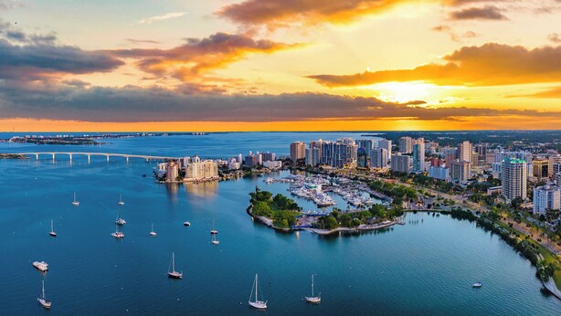 A marina with multiple boats and a cityscape in the background.