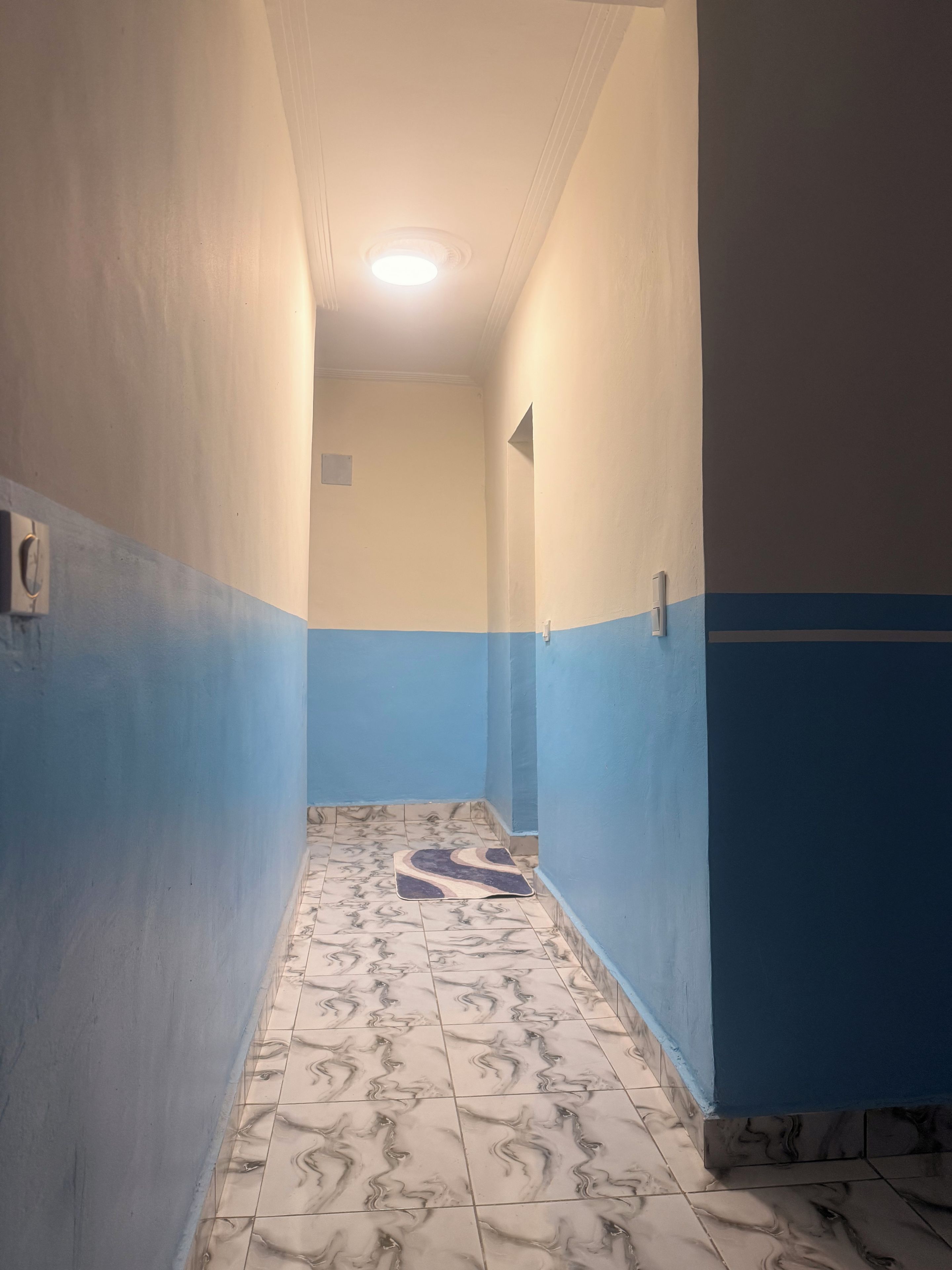 A narrow hallway with patterned floor tiles, walls painted in two-tone blue and beige, and a ceiling light.