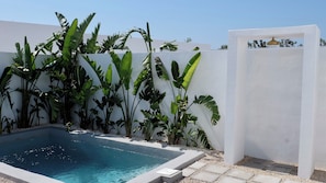 A pool area with a white wall and tropical plants. - EBLI'7. HOTEL BOUTIQUE (Orihuela)