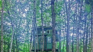 A treehouse elevated among tall trees, surrounded by a forested area with a dirt ground. -  White Mountain riverside Treehouse (Warren)