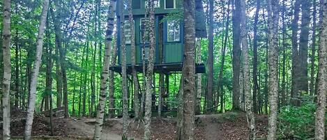 Área da propriedade