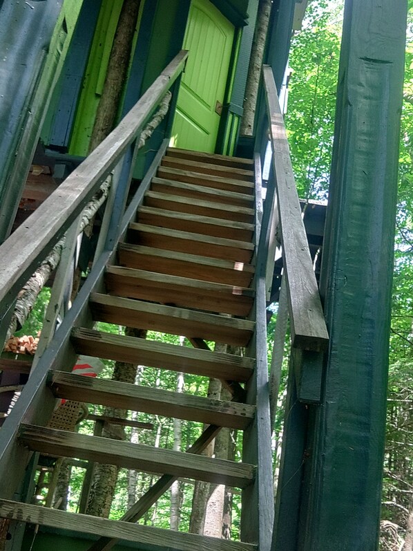 A wooden staircase leading to a green door, surrounded by trees.