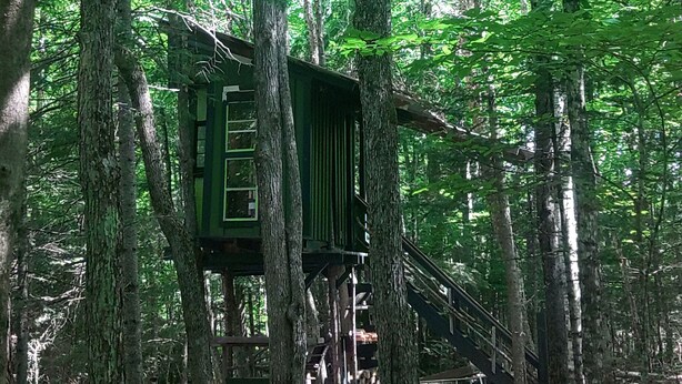 A treehouse elevated on stilts in a forested area with a staircase leading up to it. -  White Mountain riverside Treehouse (Warren)
