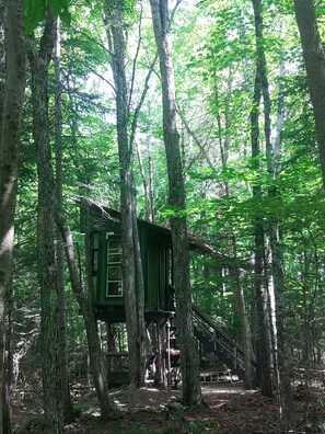 A treehouse elevated on stilts in a forested area with a staircase leading up to it. -  White Mountain riverside Treehouse (Warren)
