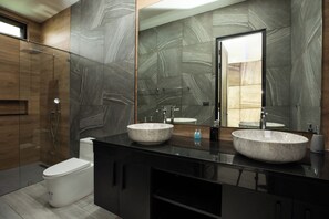 Shower, hair dryer, bidet, towels