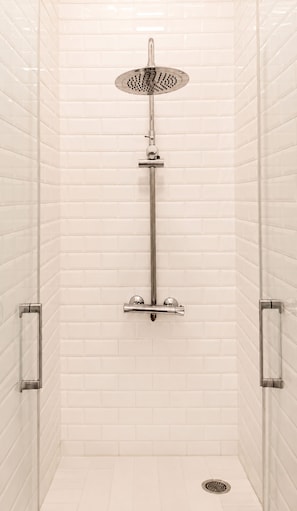 A shower with a handheld showerhead, a vertical rain showerhead, and a handheld shower attachment. - 1631 StMartin (Paris)