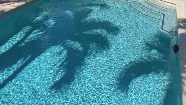 A clear blue pool with visible ripples and shadows of palm trees.