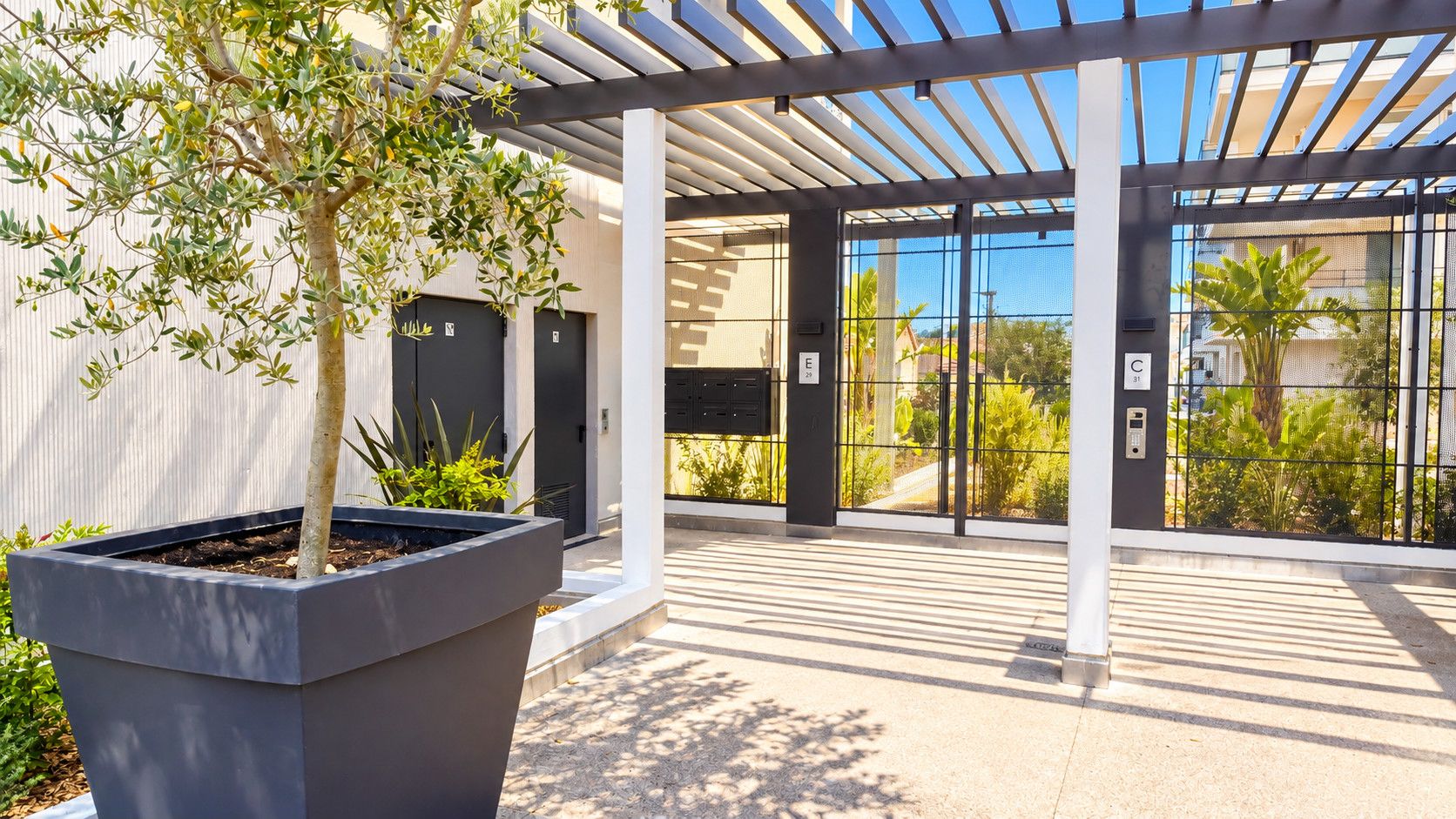 A modern building entrance with a covered walkway, a large planter with a tree, and a view of the surrounding area.