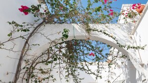 Un edificio blanco con un arco de entrada, enredaderas y flores rosadas.