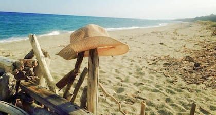 T2 climatisé à 200m de la plage ! Piscine + balcon