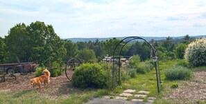 A rural landscape with a dog, a vintage cart, and a metal structure.