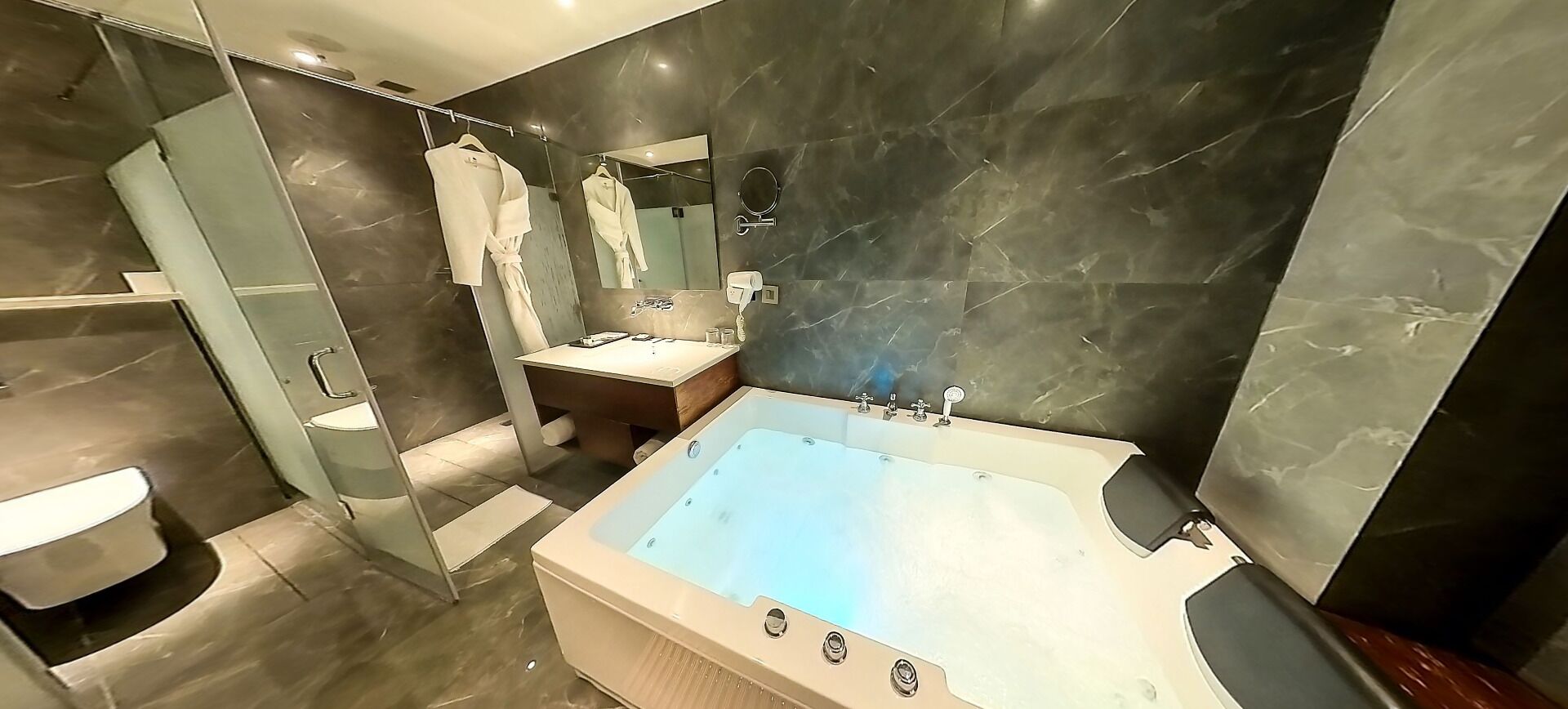Suite Premium | Baño | Ducha y cabezal de ducha tipo lluvia