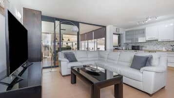 Télévision, lecteur de DVD, chaßne hi-fi