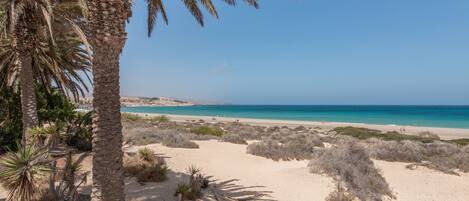 Plage à proximité