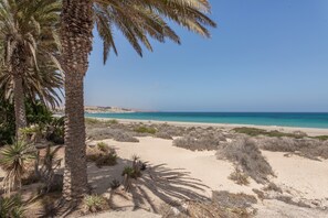 Une plage bordée de palmiers, avec des dunes de sable et une mer d’un bleu limpide.