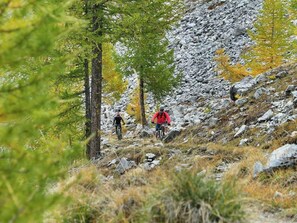 Sekalaista
