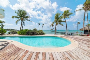 Une terrasse en bois entoure une piscine à l’eau d’un bleu limpide, agrémentée de palmiers et offrant une vue sur l’océan.