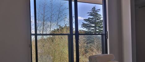 2 室のベッドルーム、デスク、アイロン / アイロン台、WiFi (無料)