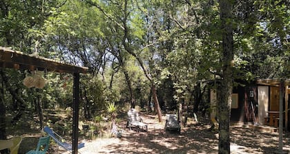 Chalet and caravans in a private wooded area of 1,000 m².