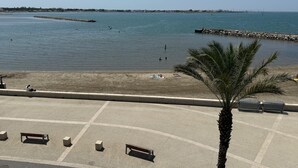 A beach with a palm tree, benches, and a clear view of the sea.