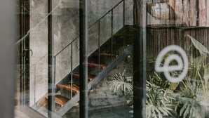 A modern interior with a glass staircase, concrete walls, and potted plants. - 3-bedroom house in amazing Tulum with Private Pool (Tulum)