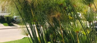 House in San José Pínula CAES