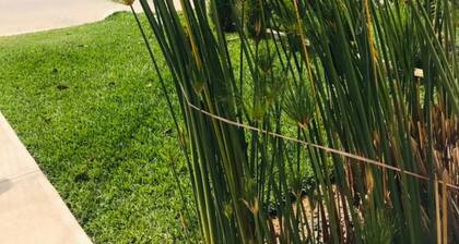 House in San José Pínula CAES