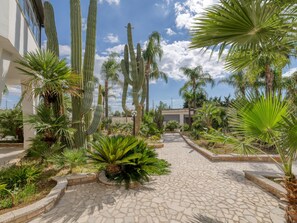 Un sendero pavimentado rodeado de cactus y palmeras que conduce a un edificio de fachada blanca.