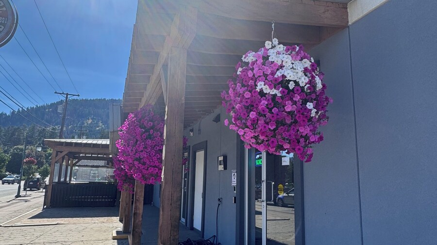 Ramshorn Motel