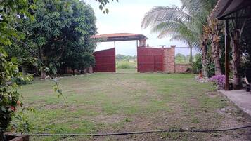 Área da propriedade
