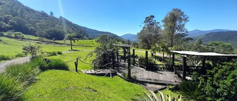 Jardin