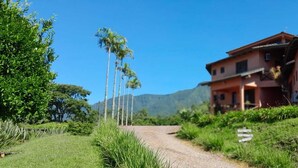 A rural house with a dirt path leading to it, surrounded by greenery and palm trees.