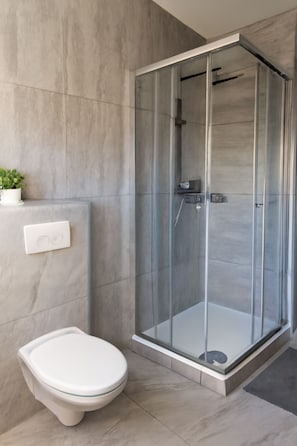 Shower, hair dryer, soap, toilet paper