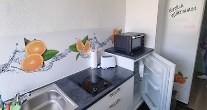 Beautiful family-friendly apartment by the lake