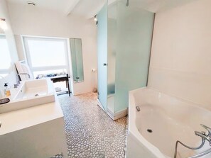 Shower, hair dryer, toilet paper