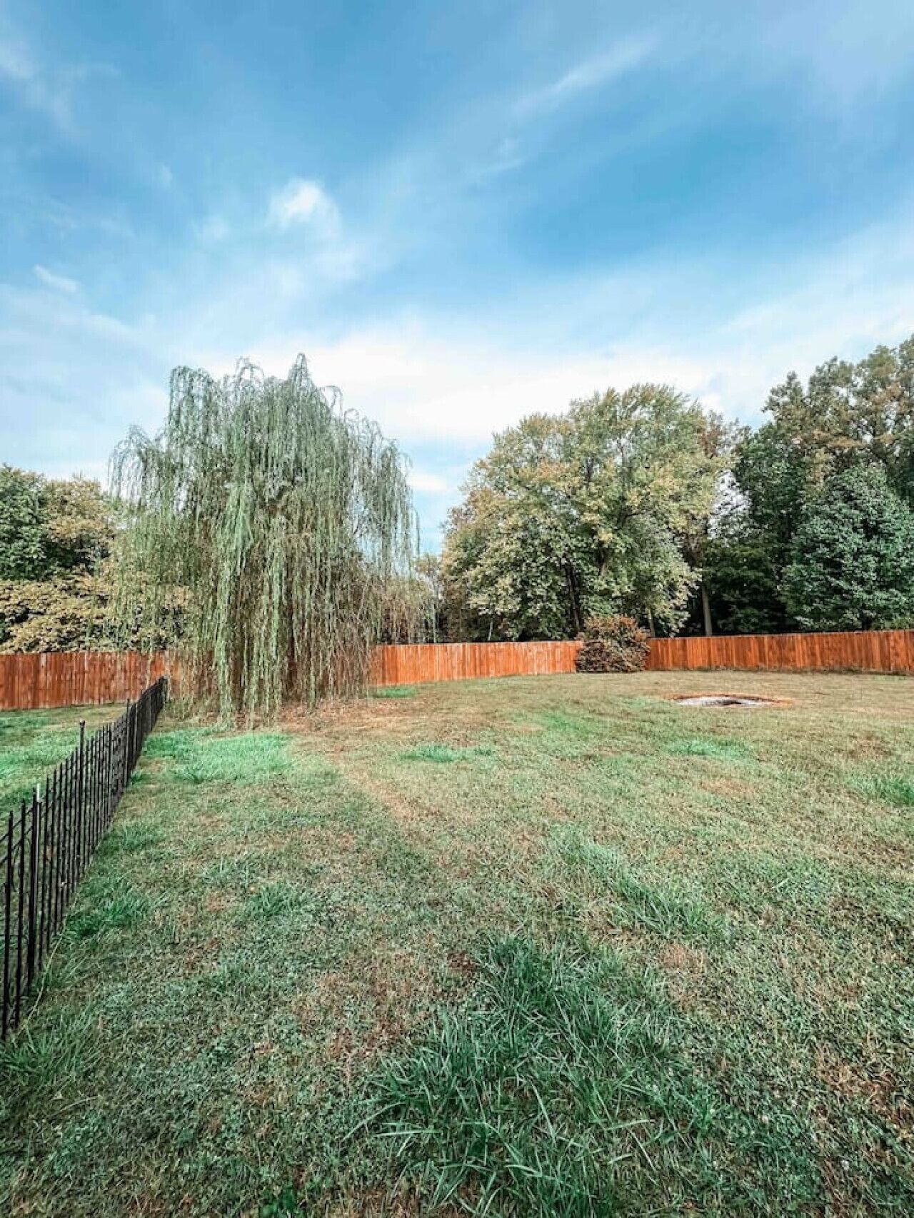 Expansive fenced backyard with lush greenery- perfect for pets, play, or peaceful outdoor moments.