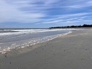 Toallas de playa