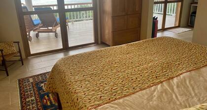 Tranquility Oceanfront Apartment, Carriacou