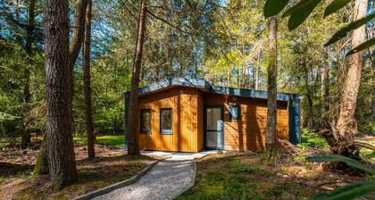 Vakantiepark De Wiltzangh - Cube Split 6