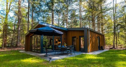 Vakantiepark De Wiltzangh - Zandborg Lodge