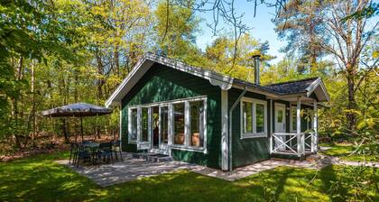 Vakantiepark De Wiltzangh - Fins Chalet 6