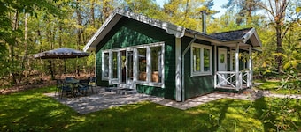 Vakantiepark De Wiltzangh - Fins Chalet 6