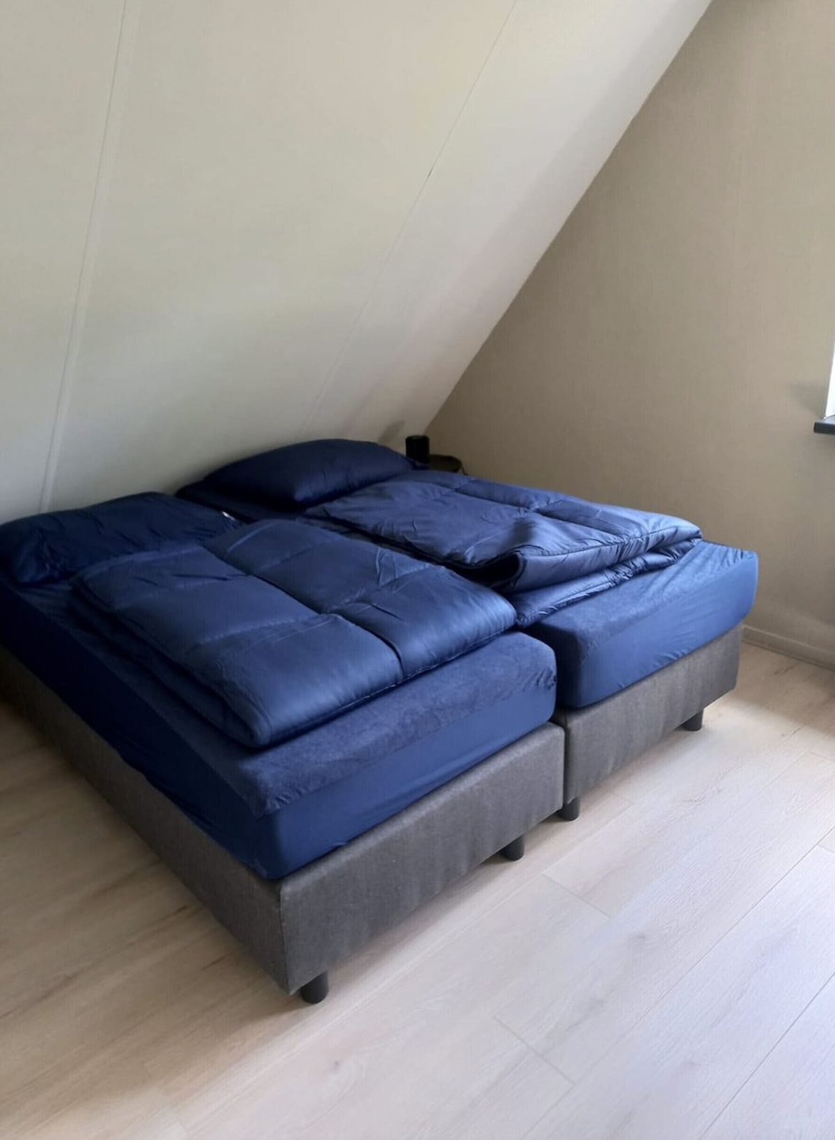 Image de profil de lâhĂŽte
